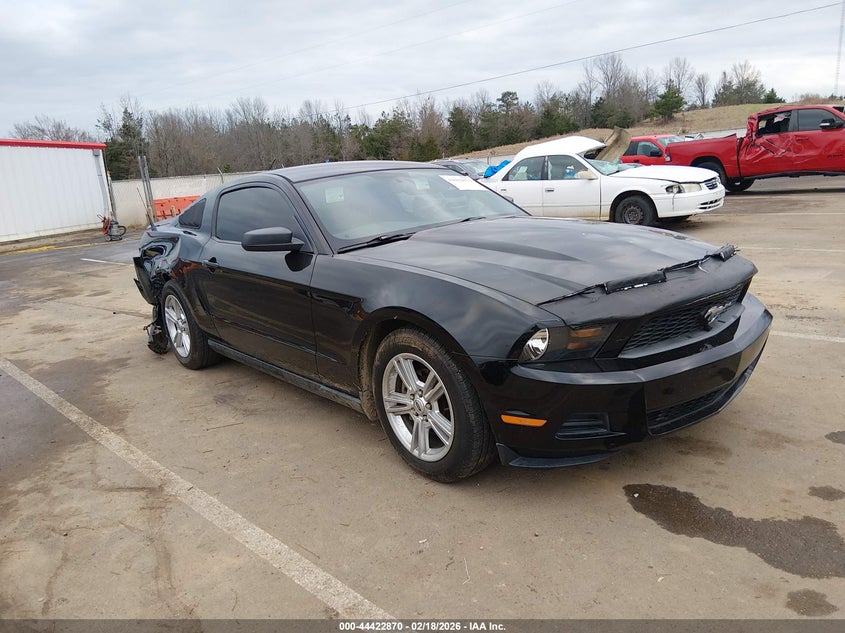 2010 Ford Mustang V6/V6 Premium