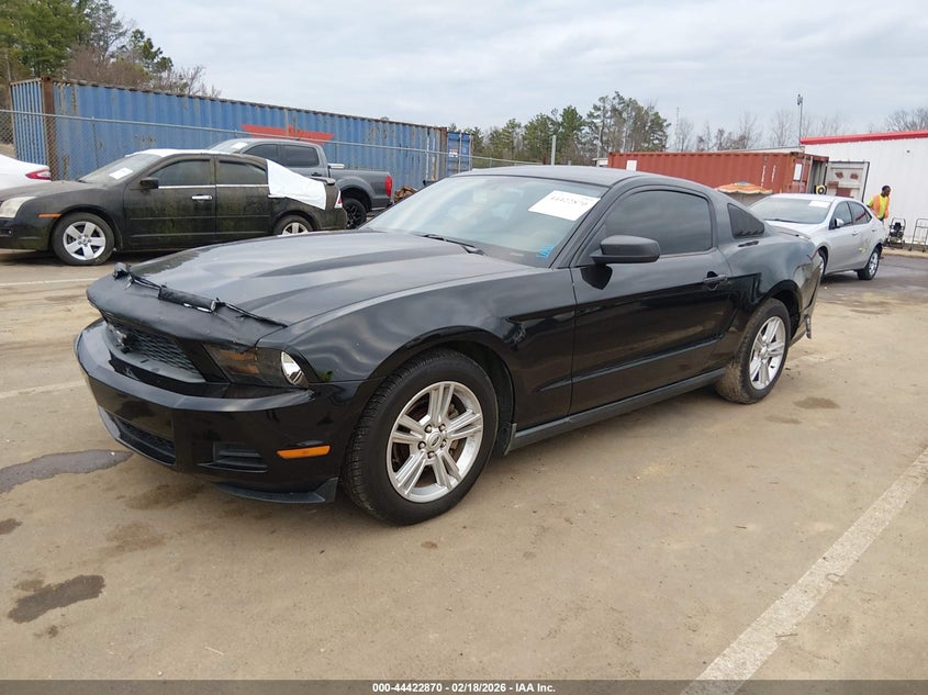2010 Ford Mustang V6/V6 Premium