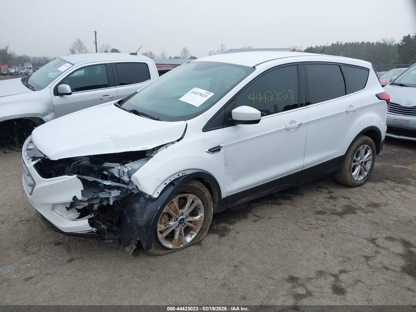 2019 Ford Escape Se