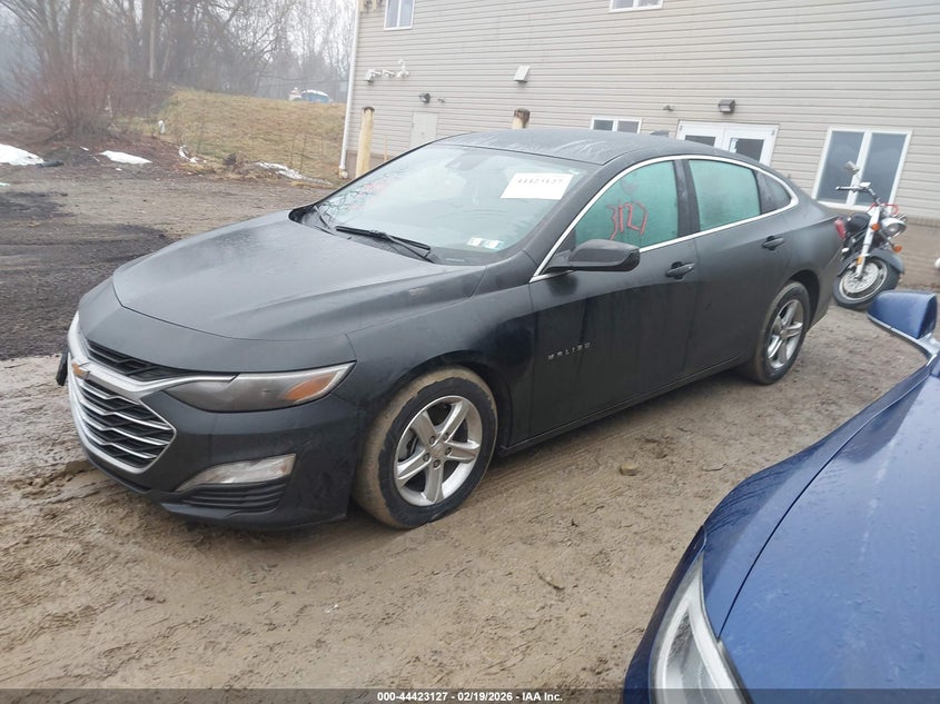 2024 Chevrolet Malibu Fwd 1Lt