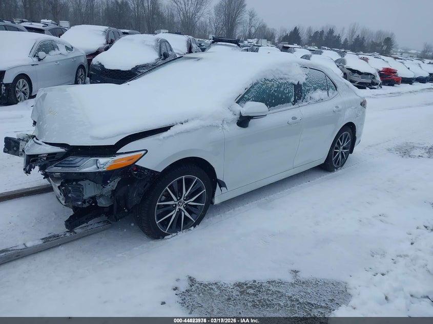 2023 Toyota Camry Xle Awd