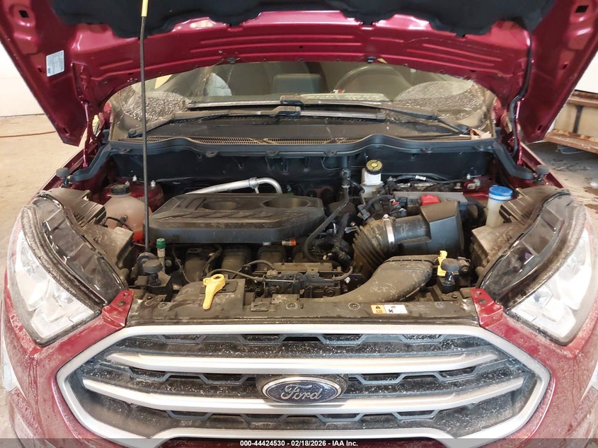AtlanticExpress - Ford EcoSport