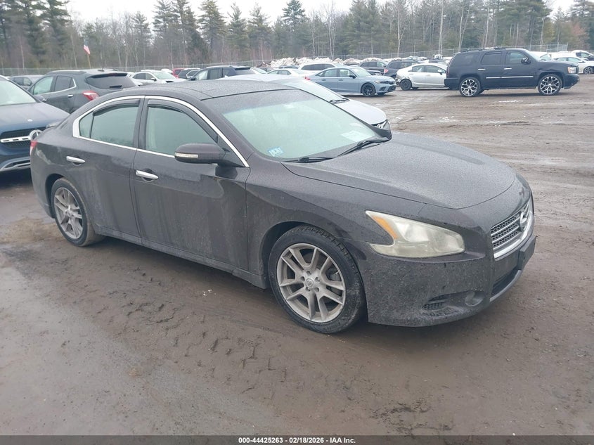 2010 Nissan Maxima 3.5 Sv