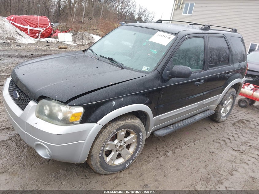 2007 Ford Escape Xlt/Xlt Sport