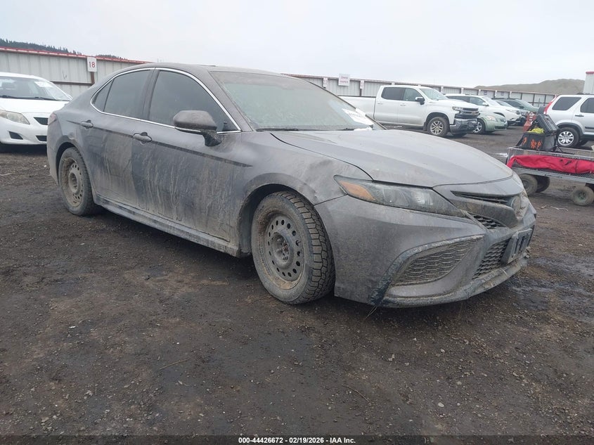 2023 Toyota Camry Se Awd