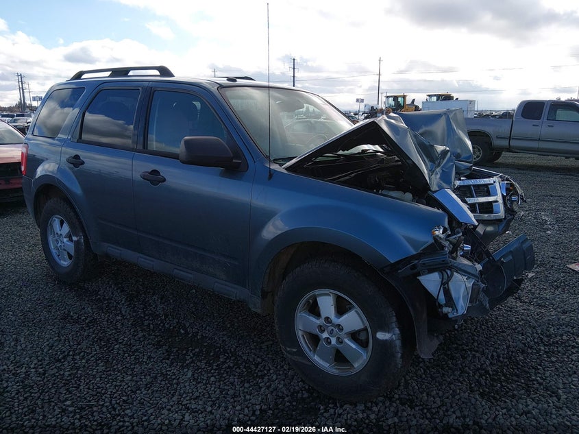 Vin: 1fmcu0d77akc29415, lot: 44923719, ford escape xlt 2010 img_1