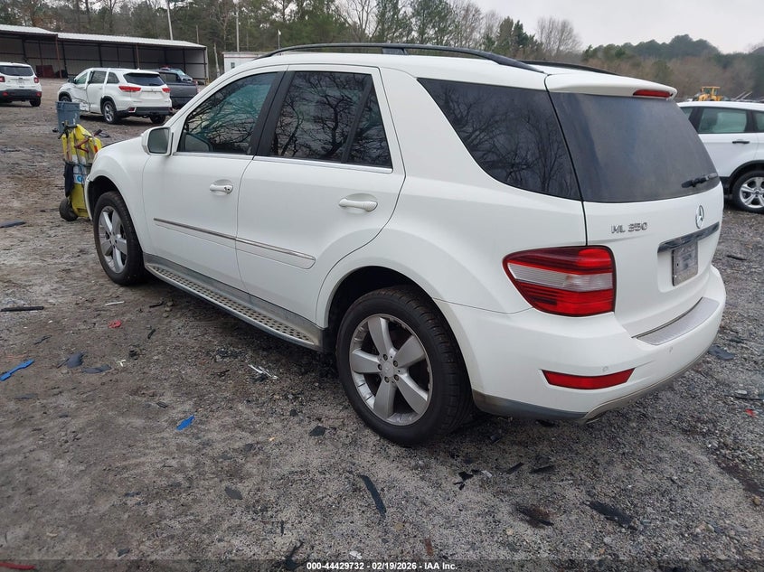 2010 Mercedes-Benz Ml 350