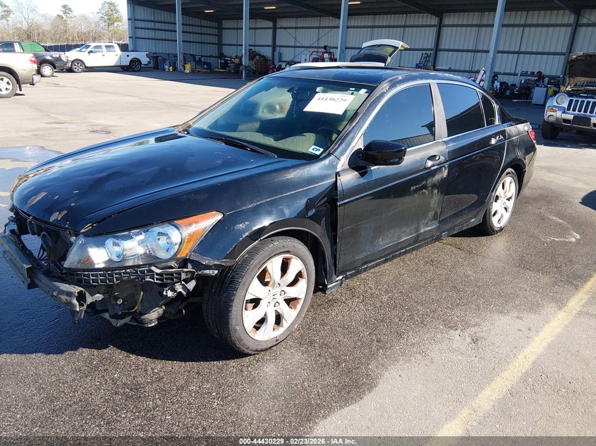 2010 Honda Accord 2.4 Ex-L
