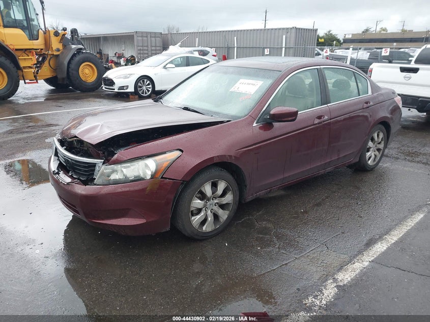 2010 Honda Accord 2.4 Ex-L