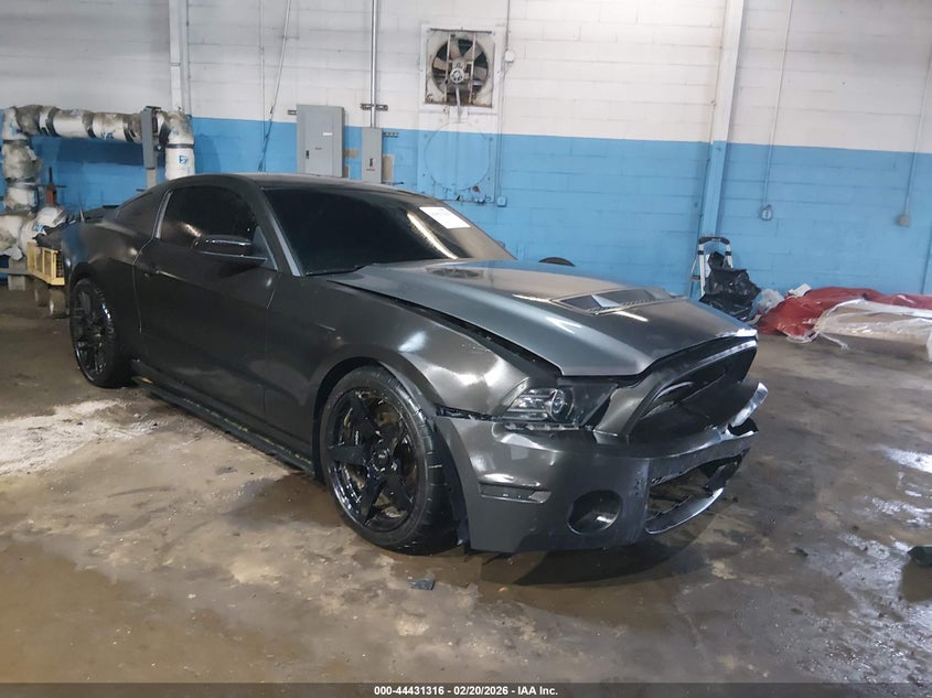 2013 Ford Shelby Gt500