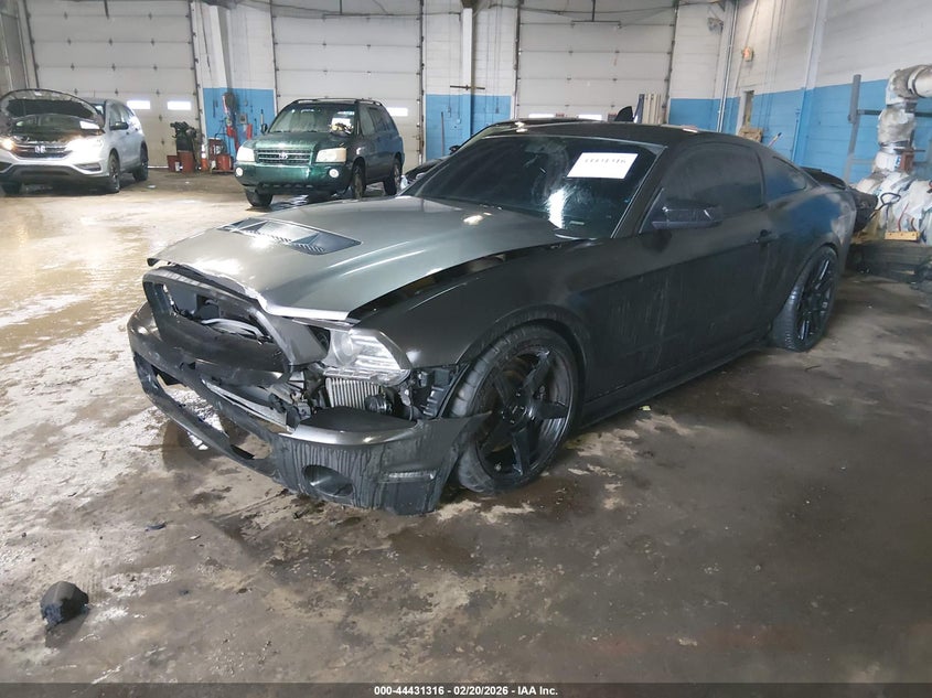 2013 Ford Shelby Gt500