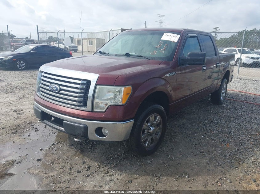 2010 Ford F-150 Fx4/Harley-Davidson/King Ranch/Lariat/Platinum/Xl/Xlt