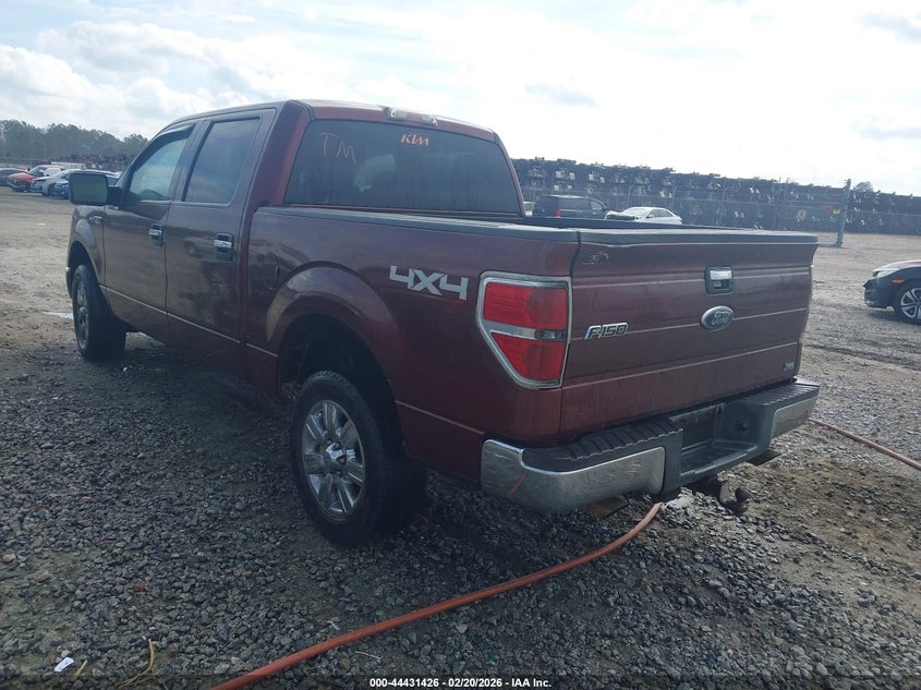 2010 Ford F-150 Fx4/Harley-Davidson/King Ranch/Lariat/Platinum/Xl/Xlt