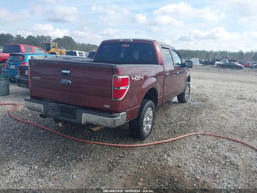 2010 Ford F-150 Fx4/Harley-Davidson/King Ranch/Lariat/Platinum/Xl/Xlt