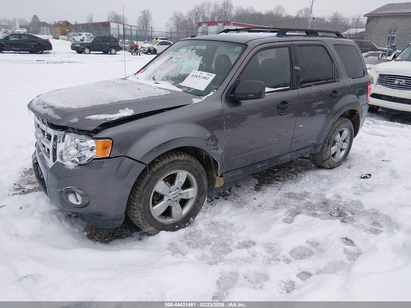 2011 Ford Escape Xlt