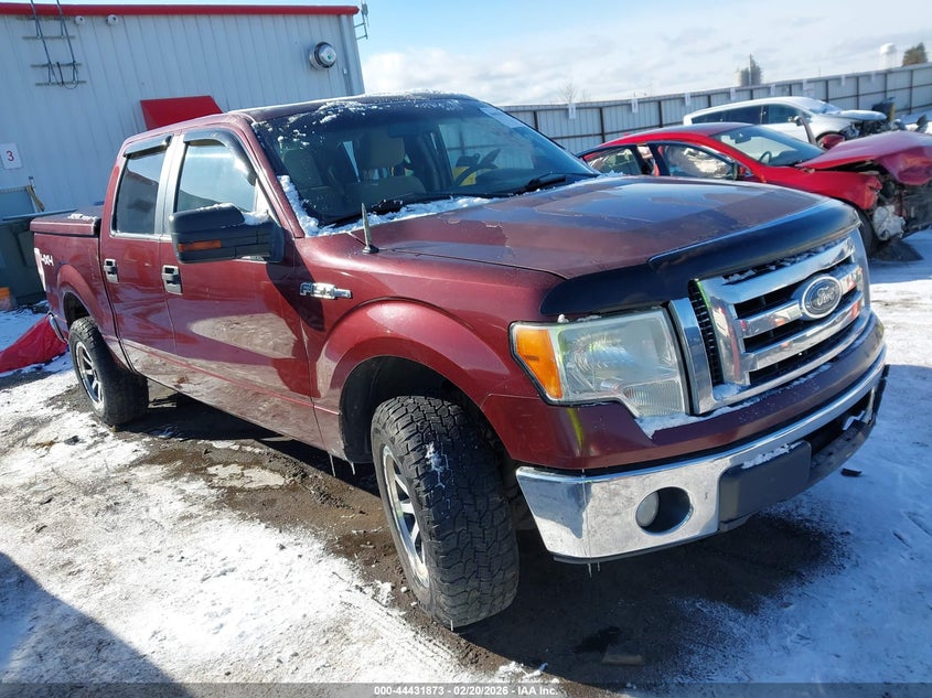 2010 Ford F-150 Fx4/Harley-Davidson/King Ranch/Lariat/Platinum/Xl/Xlt