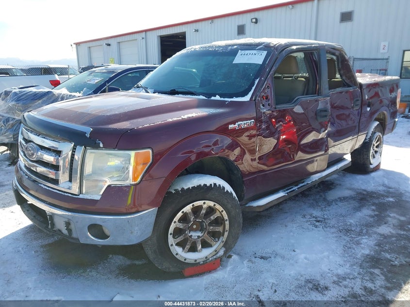 2010 Ford F-150 Fx4/Harley-Davidson/King Ranch/Lariat/Platinum/Xl/Xlt