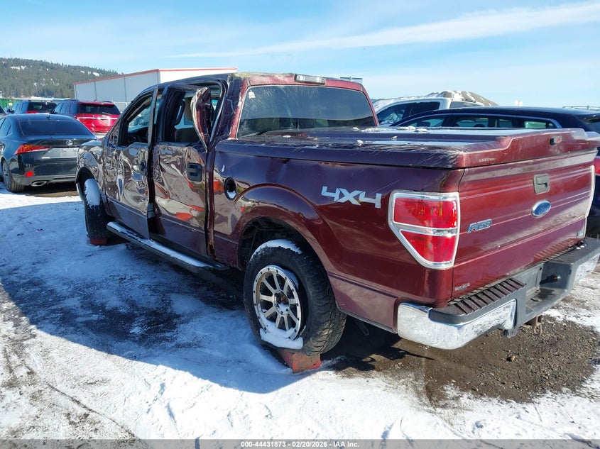 2010 Ford F-150 Fx4/Harley-Davidson/King Ranch/Lariat/Platinum/Xl/Xlt