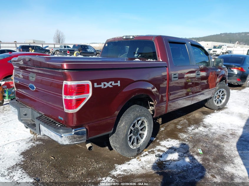 2010 Ford F-150 Fx4/Harley-Davidson/King Ranch/Lariat/Platinum/Xl/Xlt