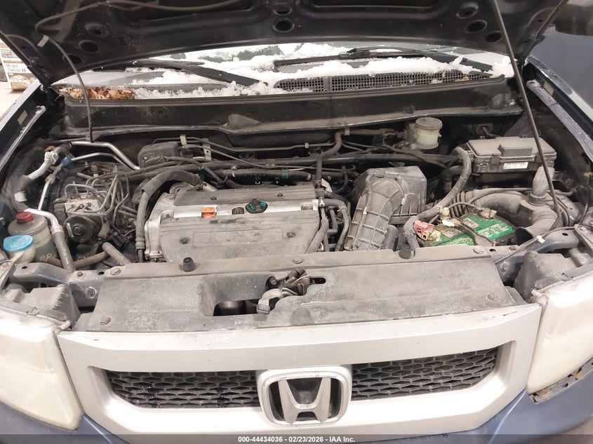 2009 Honda Element Ex VIN: 5J6YH18709L000556 Lot: 44434036