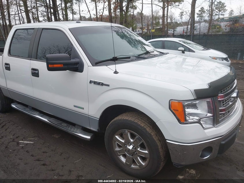 1FTFW1CT2DFD53640 FORD F-150 Photo 1