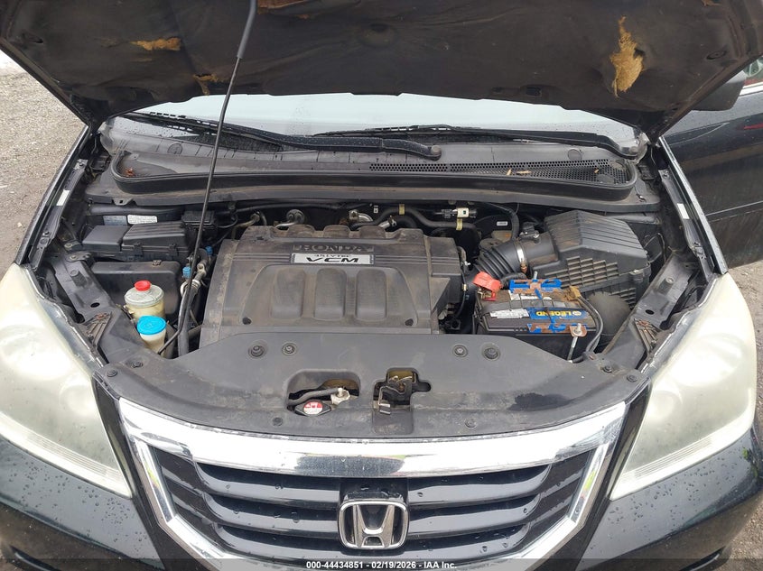 2008 Honda Odyssey Ex-L VIN: 5FNRL38718B065891 Lot: 44434851