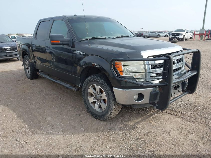 2013 Ford F-150 Xlt