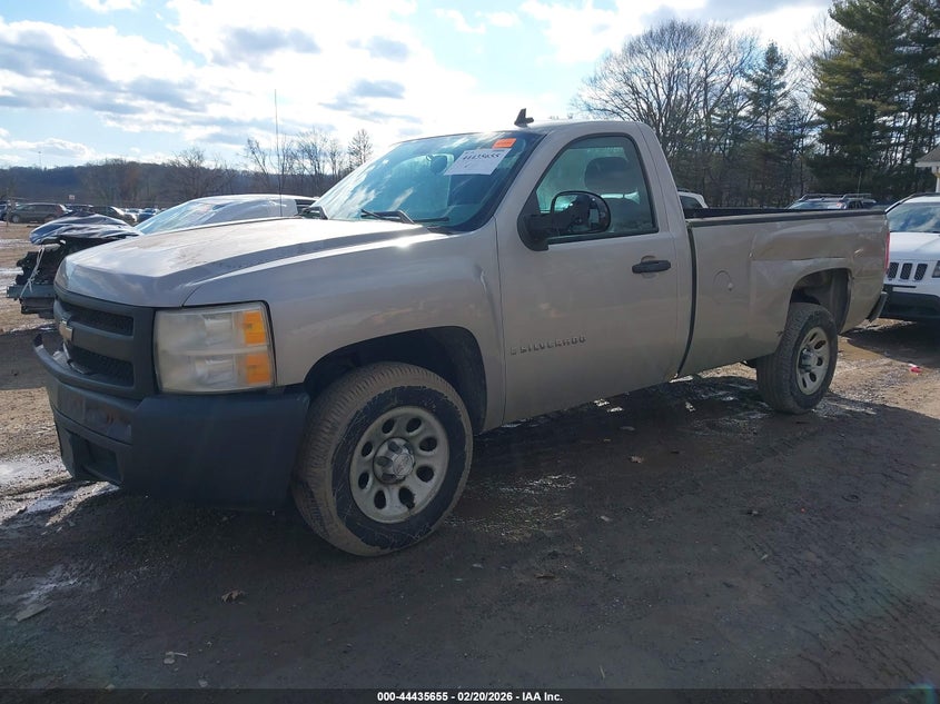 2008 Chevrolet Silverado 1500 Work Truck