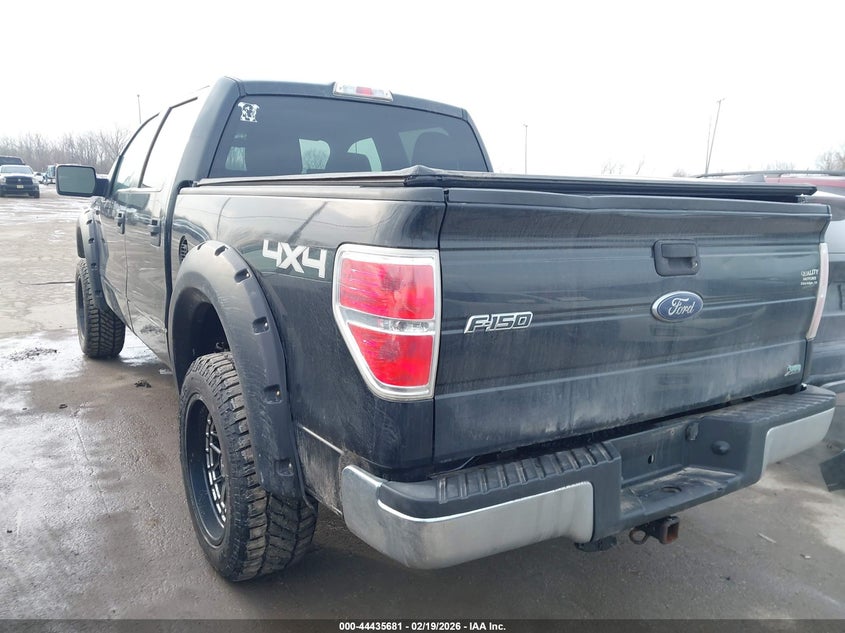 2010 Ford F-150 Fx4/Harley-Davidson/King Ranch/Lariat/Platinum/Xl/Xlt