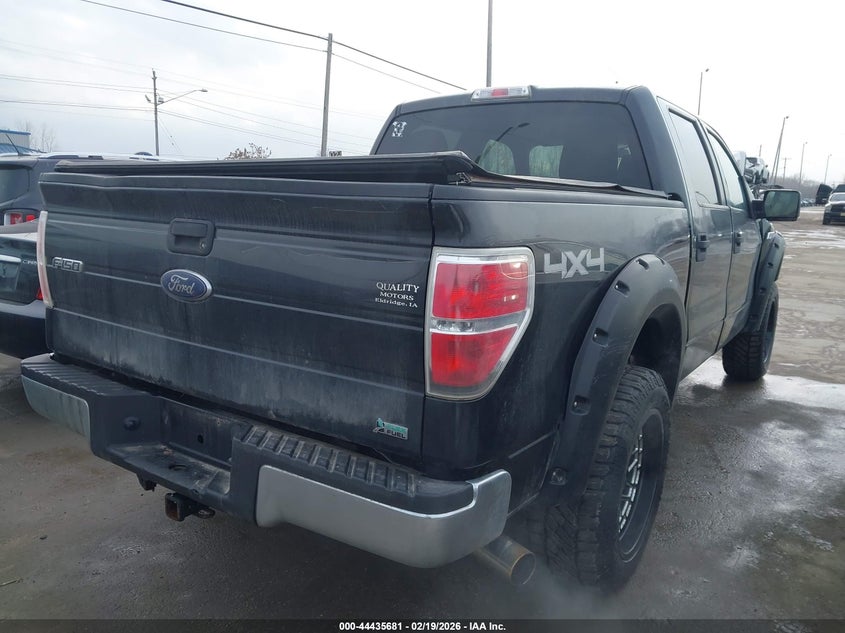 2010 Ford F-150 Fx4/Harley-Davidson/King Ranch/Lariat/Platinum/Xl/Xlt