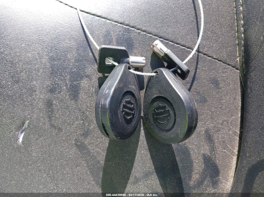 2020 Harley-Davidson Fltrk VIN: 1HD1KZF18LB608052 Lot: 44439598