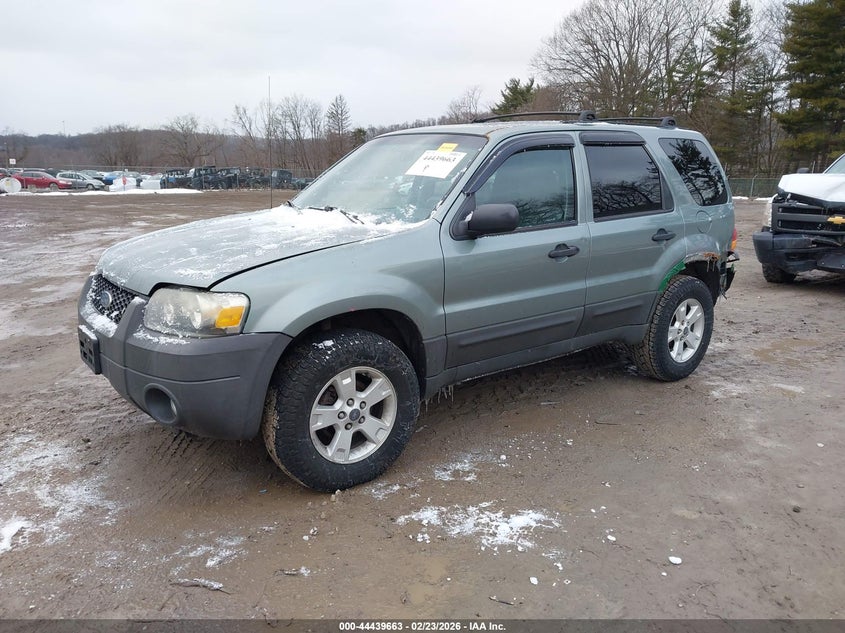 2007 Ford Escape Xlt/Xlt Sport