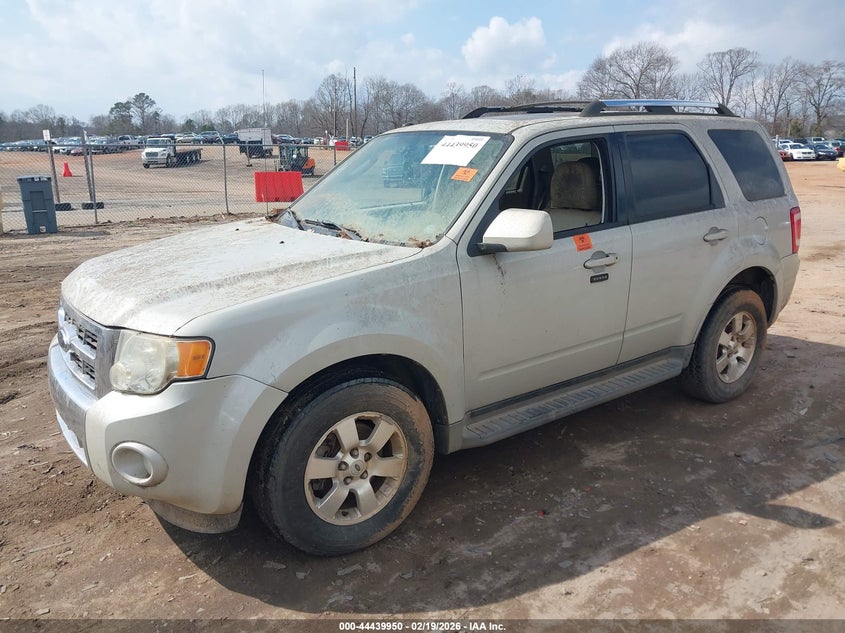 2009 Ford Escape Limited