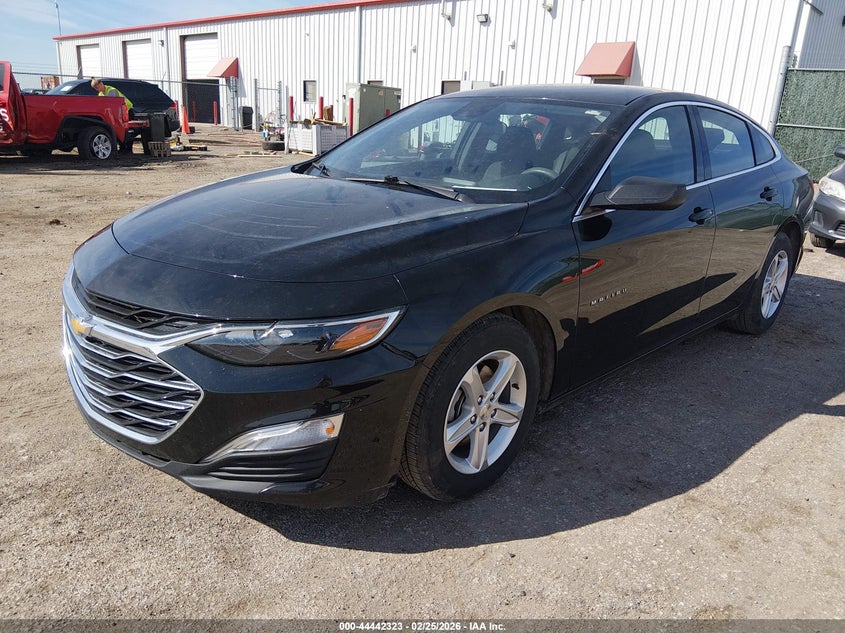 2023 Chevrolet Malibu Fwd 1Fl