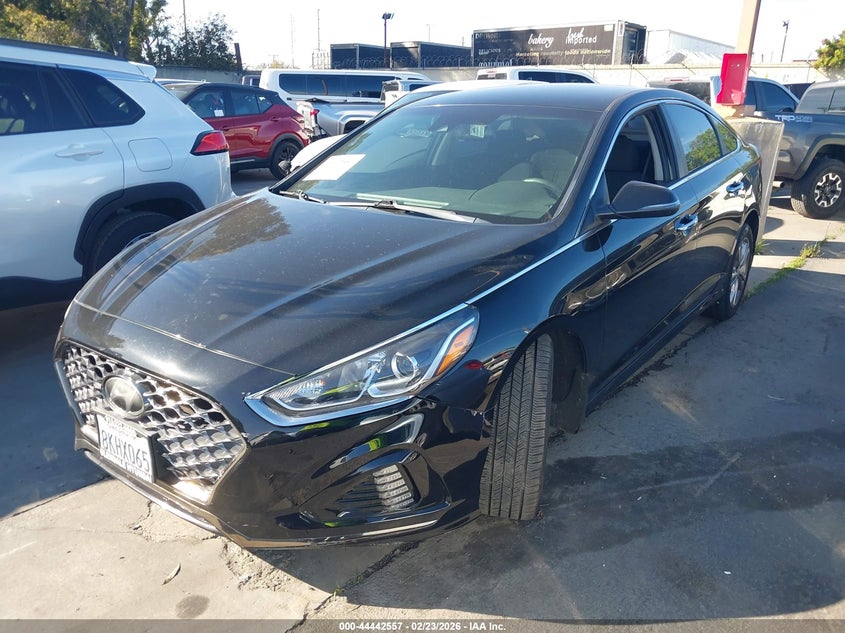 2019 Hyundai Sonata Sel