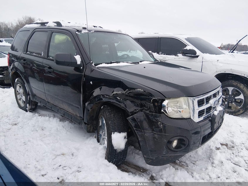 2010 Ford Escape Xlt
