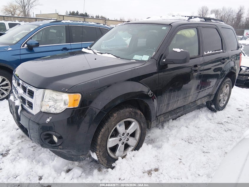2010 Ford Escape Xlt
