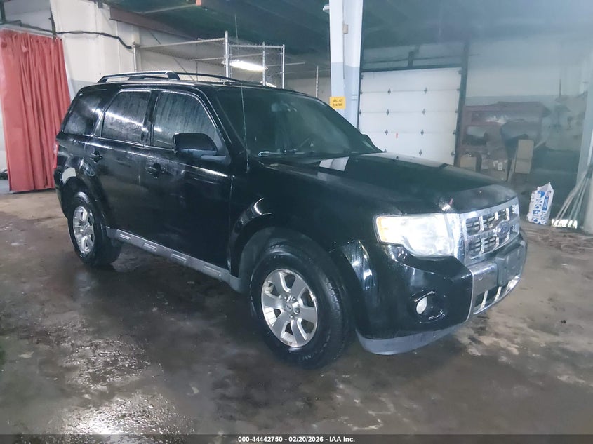 2010 Ford Escape Limited