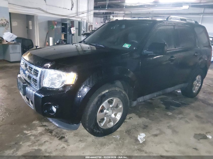 2010 Ford Escape Limited