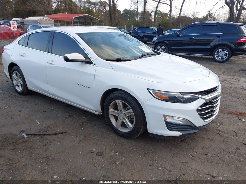 2019 Chevrolet Malibu 1Fl