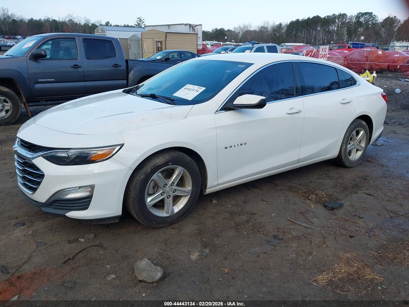 2019 Chevrolet Malibu 1Fl