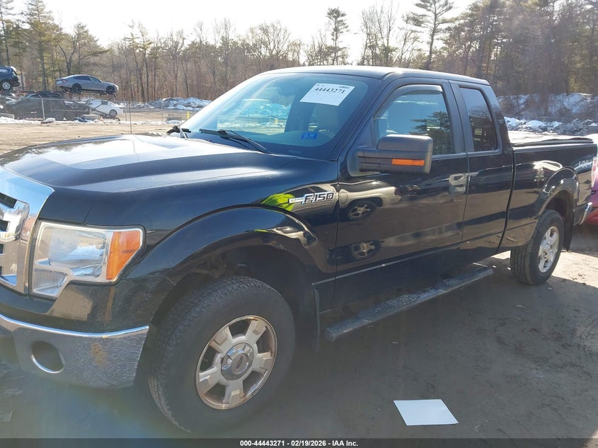 2009 Ford F-150 Fx4/Lariat/Xl/Xlt
