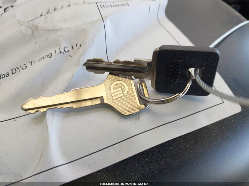 2020 Harley-Davidson Xl883 N VIN: 1HD4LE214LB405958 Lot: 44443383