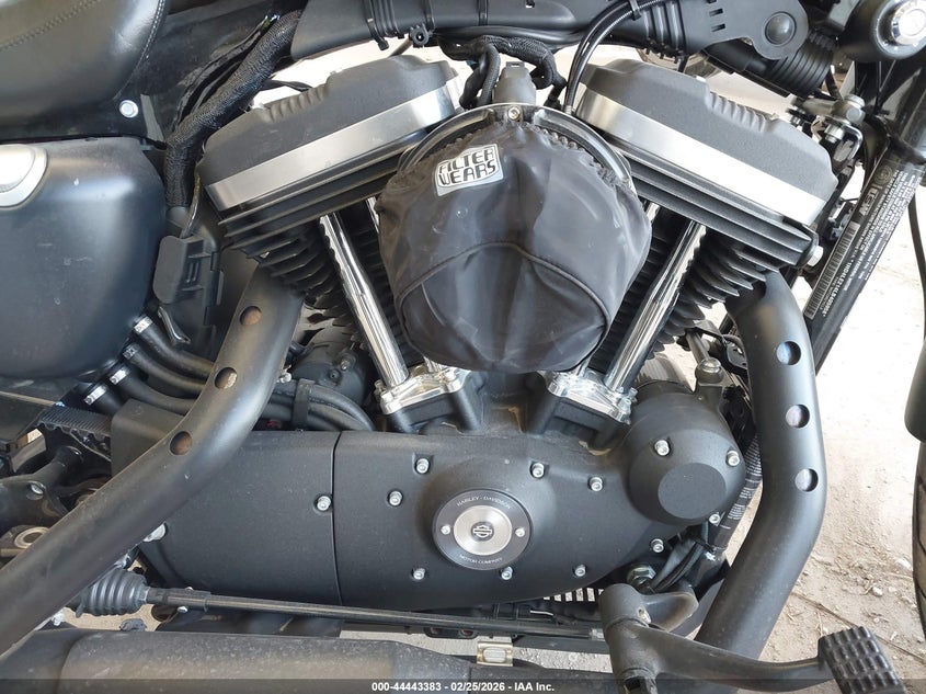 2020 Harley-Davidson Xl883 N VIN: 1HD4LE214LB405958 Lot: 44443383