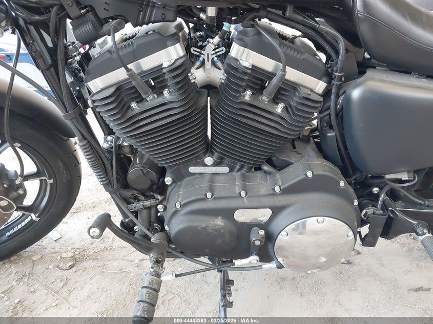 2020 Harley-Davidson Xl883 N VIN: 1HD4LE214LB405958 Lot: 44443383