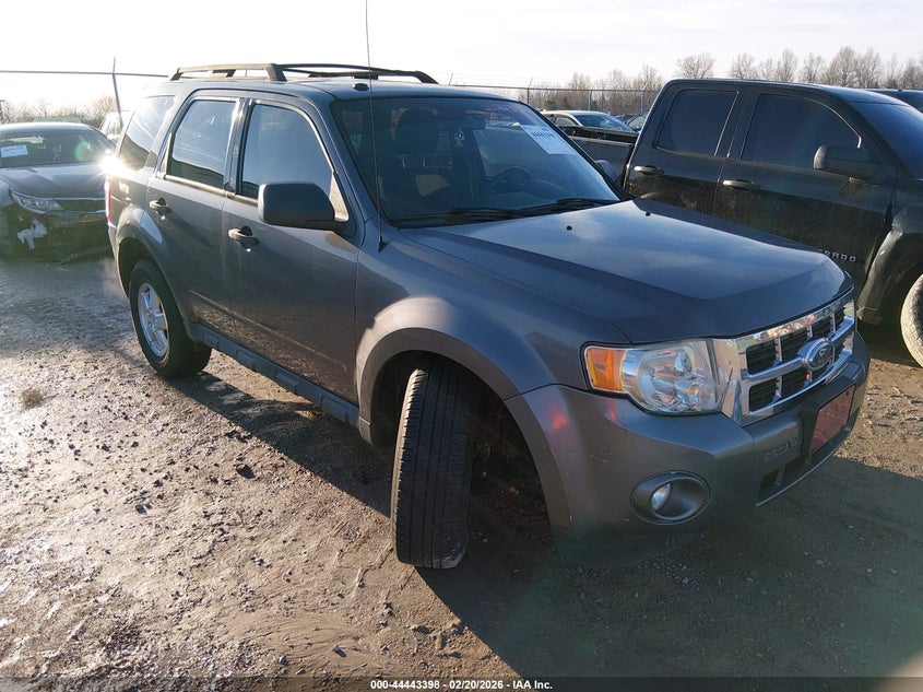 2010 Ford Escape Xlt