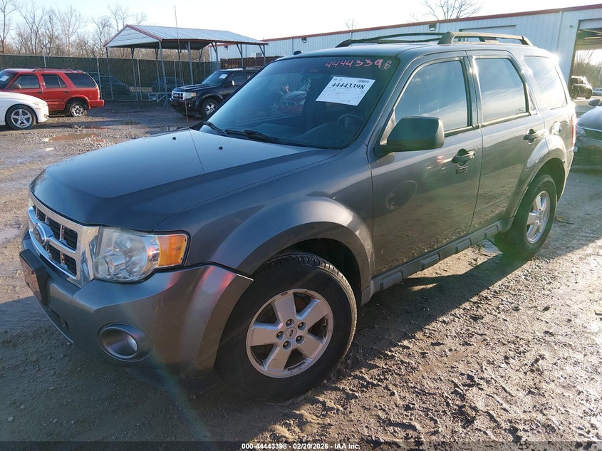 2010 Ford Escape Xlt