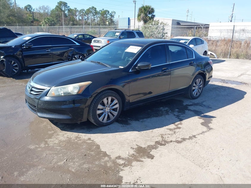2011 Honda Accord 2.4 Ex-L