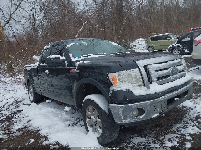2009 Ford F-150 Xlt
