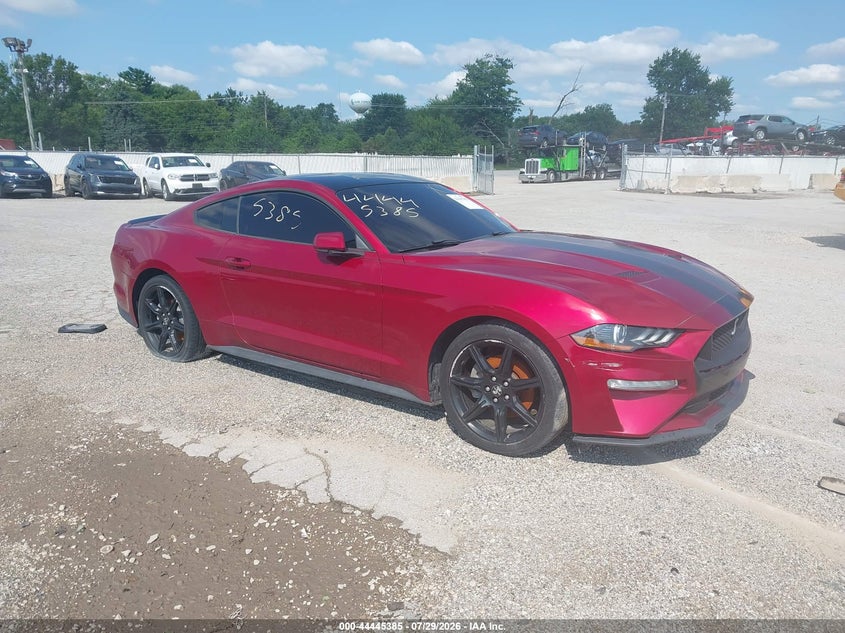 1FA6P8TH6K5173202 2019 Ford Mustang Ecoboost auction photo 1